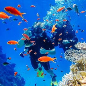 SHARM EL SHEİKH TURU