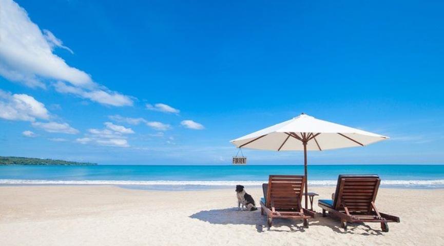 BALİ TURU