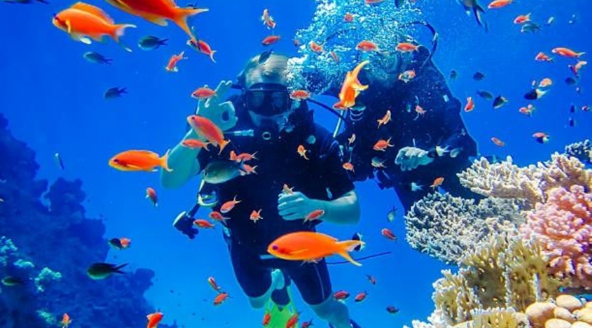 SHARM EL SHEİKH TURU