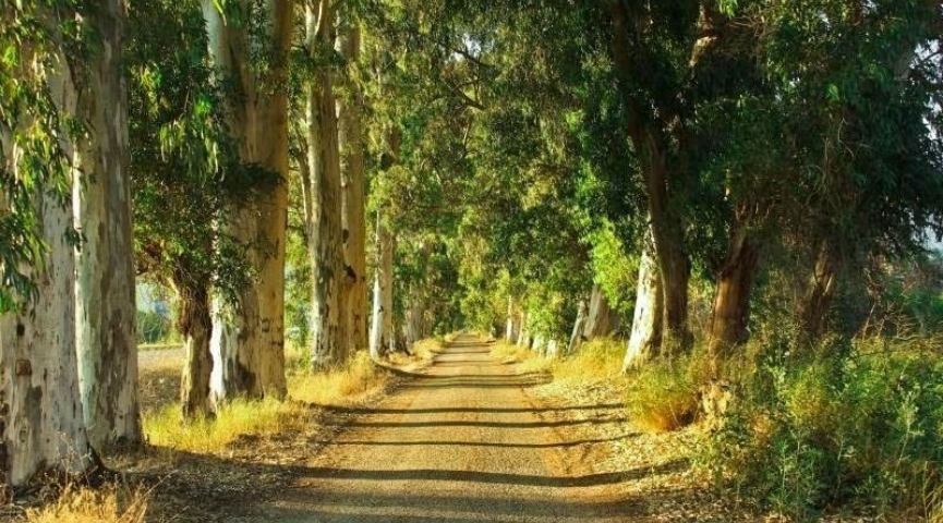 Kurban Bayramı Özel Marmaris Bodrum Datça Turu