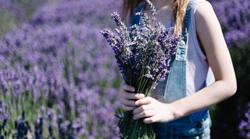 Isparta Lavanta Festivali Turu